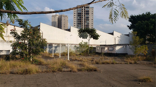 Imagem 3 de 16 de Terreno 2726,60m² Região De Santo Amaro - Reo586524
