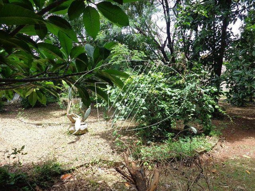 Imagem 9 de 13 de Terreno À Venda Em Jardim Conceição (sousas) - Te110147