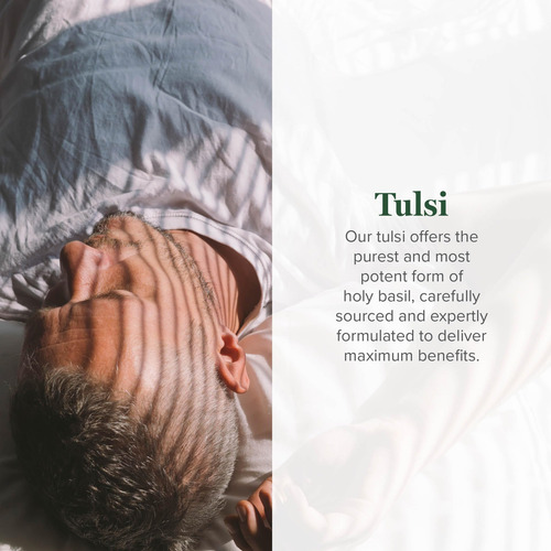 Suplemento Global Healing Organic Tulsi Holy Basil 60 Ml