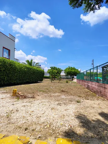 Lote En Poblado Campestre - Santo Tomas (cm&d141).