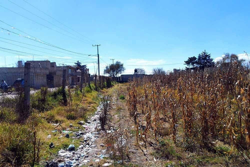 Imagen 13 de 14 de Vendo Terreno De 1 Ha Cerca Aeropuerto Toluca