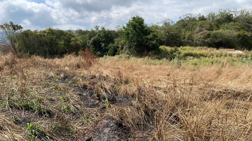 Lote De Terreno - El Marques, Guatire