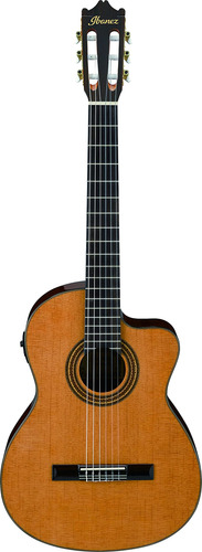 Ibanez Ga Serie Guitarra Clasca Cutaway Electroacustica