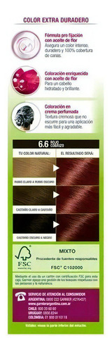 Garnier Tintura Cor Intensa 6.6 Rojo Intenso
