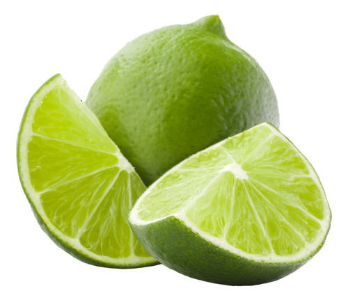 Limón Persa Injerto, Rápida Fructificacion