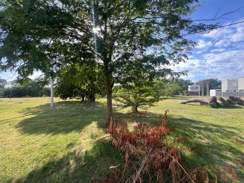 Lotes 150 Entre 41 Y 42 - Liquidámbar San Carlos