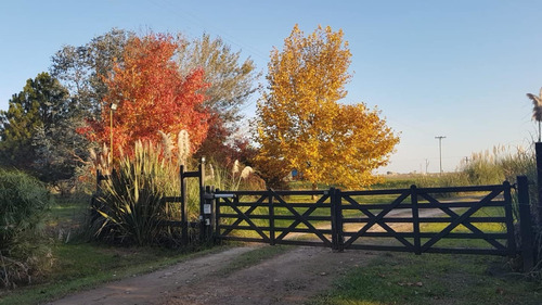 Casa De Campo. San Antonio De Areco En Complejo De Chacras