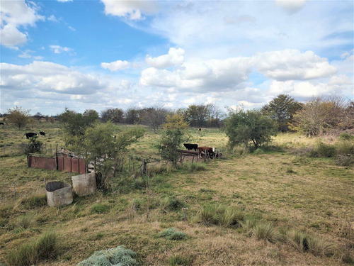 Venta De Campo En Marcos Paz 43 Hectareas