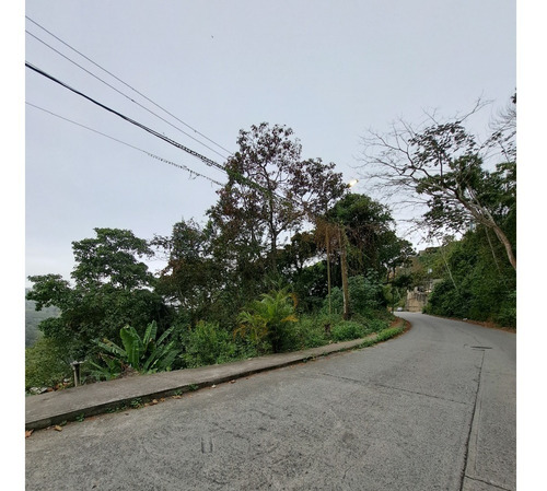 Imagen 3 de 5 de Terreno En Venta Municipio Turumo Caracas