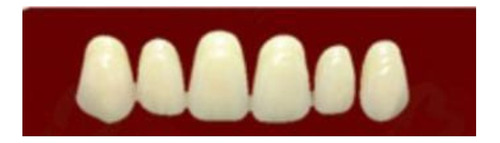 Dientes Para Protesis De Acrilico Smile Dental. Medinfadent