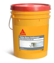 Comprar Pintura Cielos Rasos Antihongos Sika Blanco 20 Litros