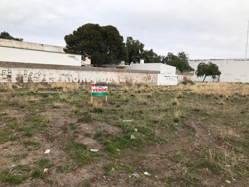 Imagen 2 de 2 de Lote En Venta San Antonio Oeste