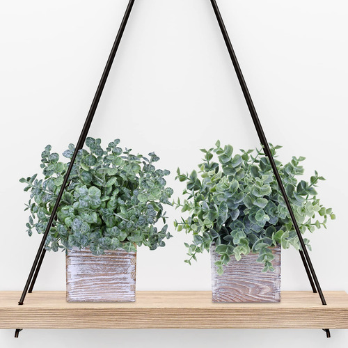 Planta Artificial Eucalipto Con Maceta Madera Cuadrada 3 Pz