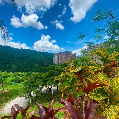 Alquiler 133 Mtr Más Terraza