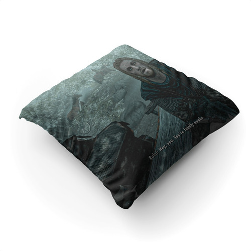Imagen 2 de 2 de Cojín Skyrim Meme 45x45cm Vudú Love