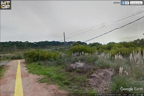 Lote | Merluzas