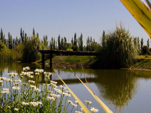 Venta Gran Terreno Club De Campo San Rafael Mza
