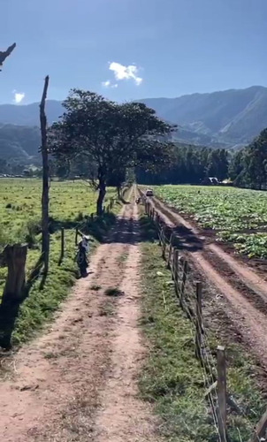 Terreno En Oxapampa Tiene Un Área 23621 Metros Cuadrados