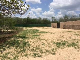 Imagen 12 de 30 de Hacienda En Venta - En San Antonio Tehuitz, Yucatán