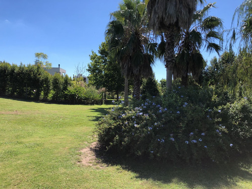 Imagen 4 de 9 de Muy Buen Lote A La Reserva - Fondo Verde - Albanueva