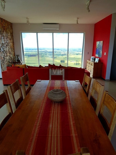 Imagen 10 de 28 de Venta Chacra 6 Hectáreas Punta Del Este
