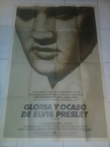 Elvis Presley Gloria Y Ocaso Afiche Original De La Pelicula