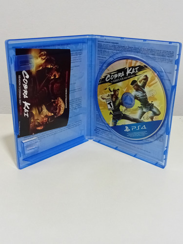 Cobra Kai The Karate Kid Saga Continues Ps4 Maxgamessm (Usado)