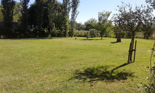 Imagen 11 de 14 de Casa Quinta - Nueva - En Gualeguay - Hermosa Chacra