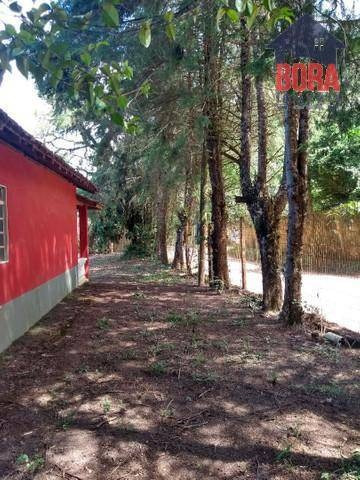 Imagem 3 de 11 de Chácara Com 2 Dormitórios À Venda, 4200 M² Por R$ 280.000,00 - Ressaca - Atibaia/sp - Ch0378