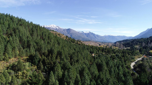 02 Hectáreas En Epuyen