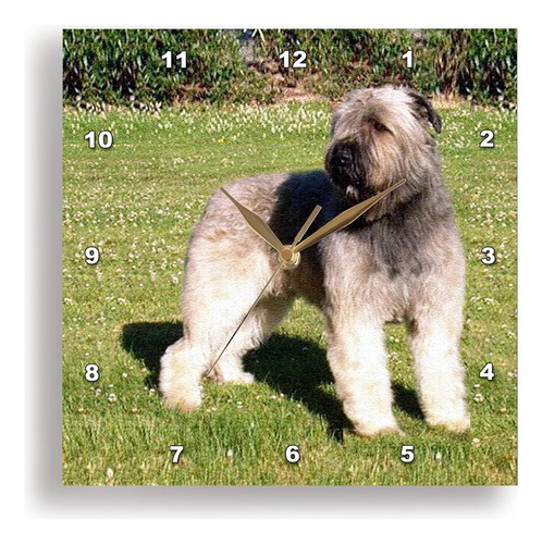 Reloj De Pared Para Perros Bouvier Dpp 989