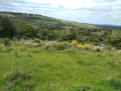 Campo En Venta