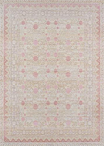 Alfombras Momeni Isabella Tradicional Oriental Flat Weave T