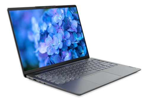 Notebook Lenovo 14 Core I7-1165g7 8gb 512gb Ssd W11 Ingles