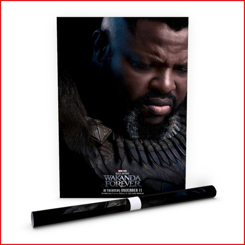 Poster Pelicula Black Panther: Wakanda Forever #20 - 40x60cm
