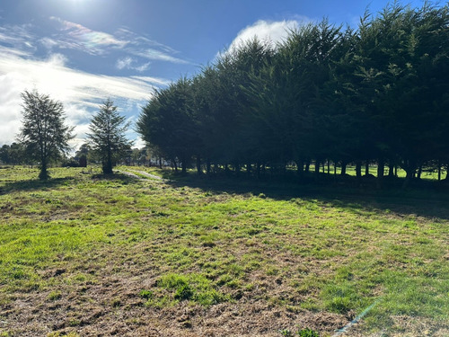 Se Vende Parcela Con Casa En Sector Pid Pid - Castro