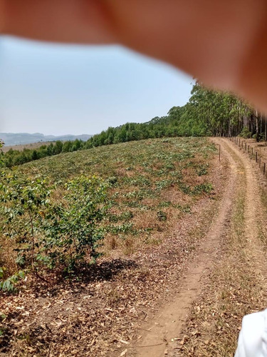 V20- Lancemento De Lotes Na Represa Em Igarata 1 Km Apenas