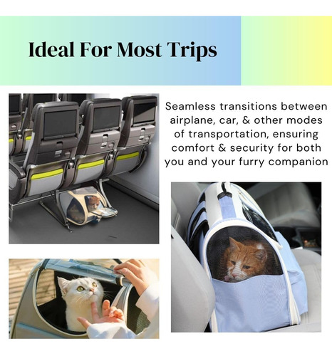 Mochila Para Mascotas Portátil Bolsa Viaje Para Gatos Perros Color Azul