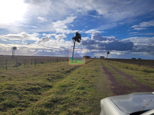 Imagen 8 de 30 de 532 Hectáreas Agrícolas Ganaderas Rocha