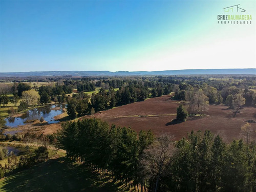 Agrícola En Venta En Fresia