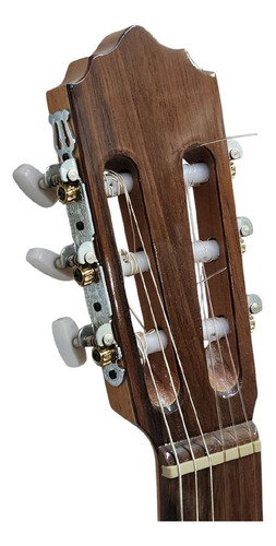 Guitarra Clasica Criolla 1/2 Caja Fonseca Modelo 38kec Artec