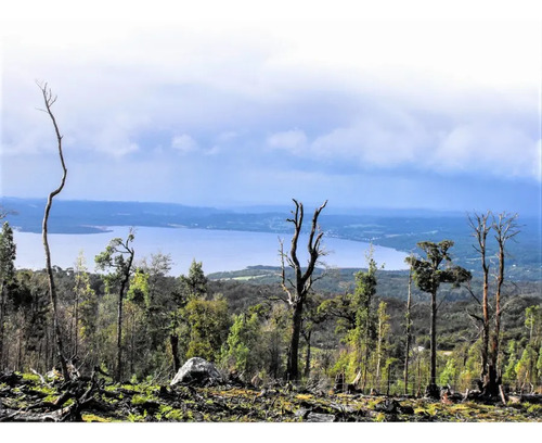 Venta Chiloe Lago Parcela 1,5 Hectárea 
