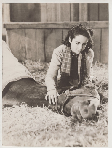 1944 Cine Fotografia Elizabeth Taylor Con Caballo Vintage