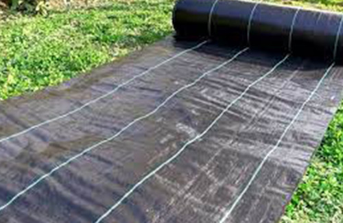 Imagen 10 de 10 de Ground Cover O Malla Antimaleza 2m Ancho X 100m Largo