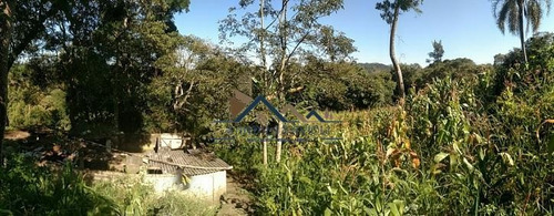 Imagem 1 de 15 de Chácara Com Nascente, Lago E Pomar. - 172
