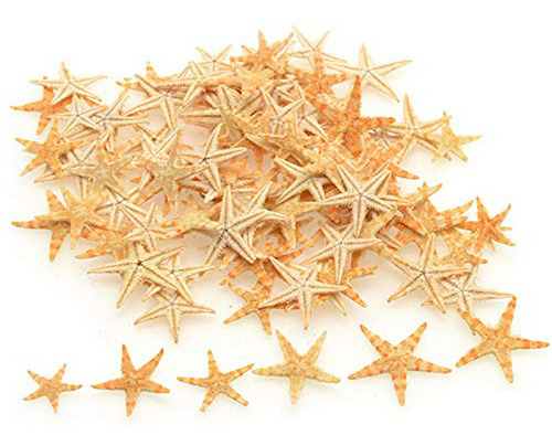 90pcs 0.4 -1.2  Pequeña Estrella De Mar Concha De Mar Decora