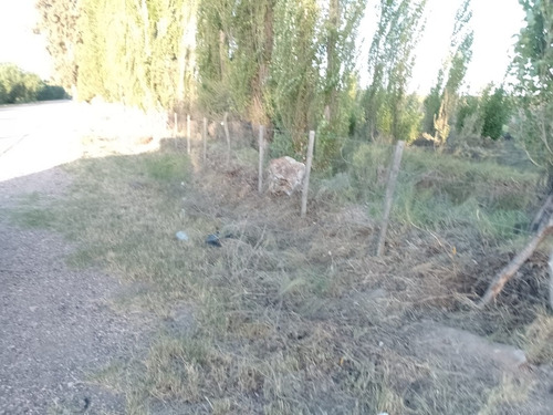 Imagen 22 de 28 de Vendo/permuto Finca Apto Todo Destino (viña, Cultivos Grales Y Ademas Cannabis Medicinal) O Loteo Club De Campo -alto Del Algarrobal-san Rafael -mendoza Sobre Rn 146 Km 376.1