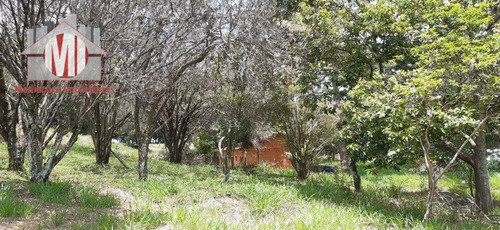 Excelente Imóvel, Todo Arborizado, Fácil Acesso, Pomar, Internet À Venda, 4693 M² Por R$ 300.000 - Pedra Bela/sp - Ch0761