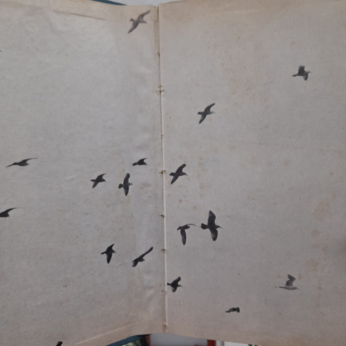 Juan Salvador Gaviota. Richard Bach. Pomaire. T. Dura (Usado)