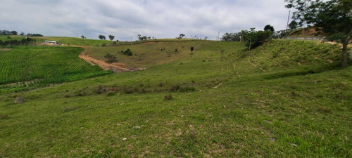 Imagem 5 de 14 de Y20- Lotes Otimos Para Chacara Terrenos Com 5.000m2 !!!!